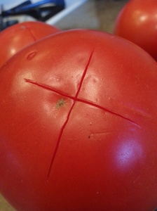 scored tomatoes